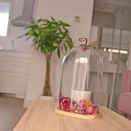 Artemisa, 2 Apartment